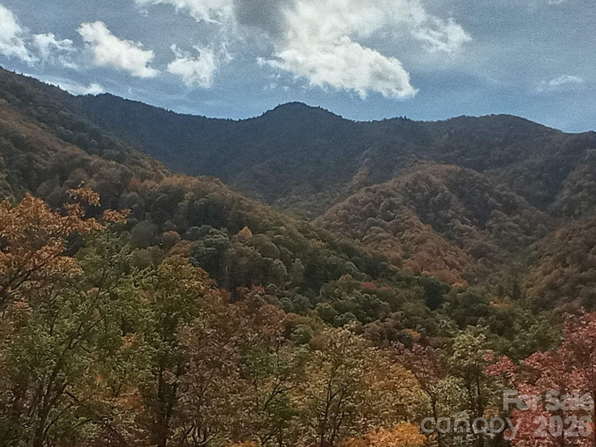 241 Bloom Trail - Photo 13