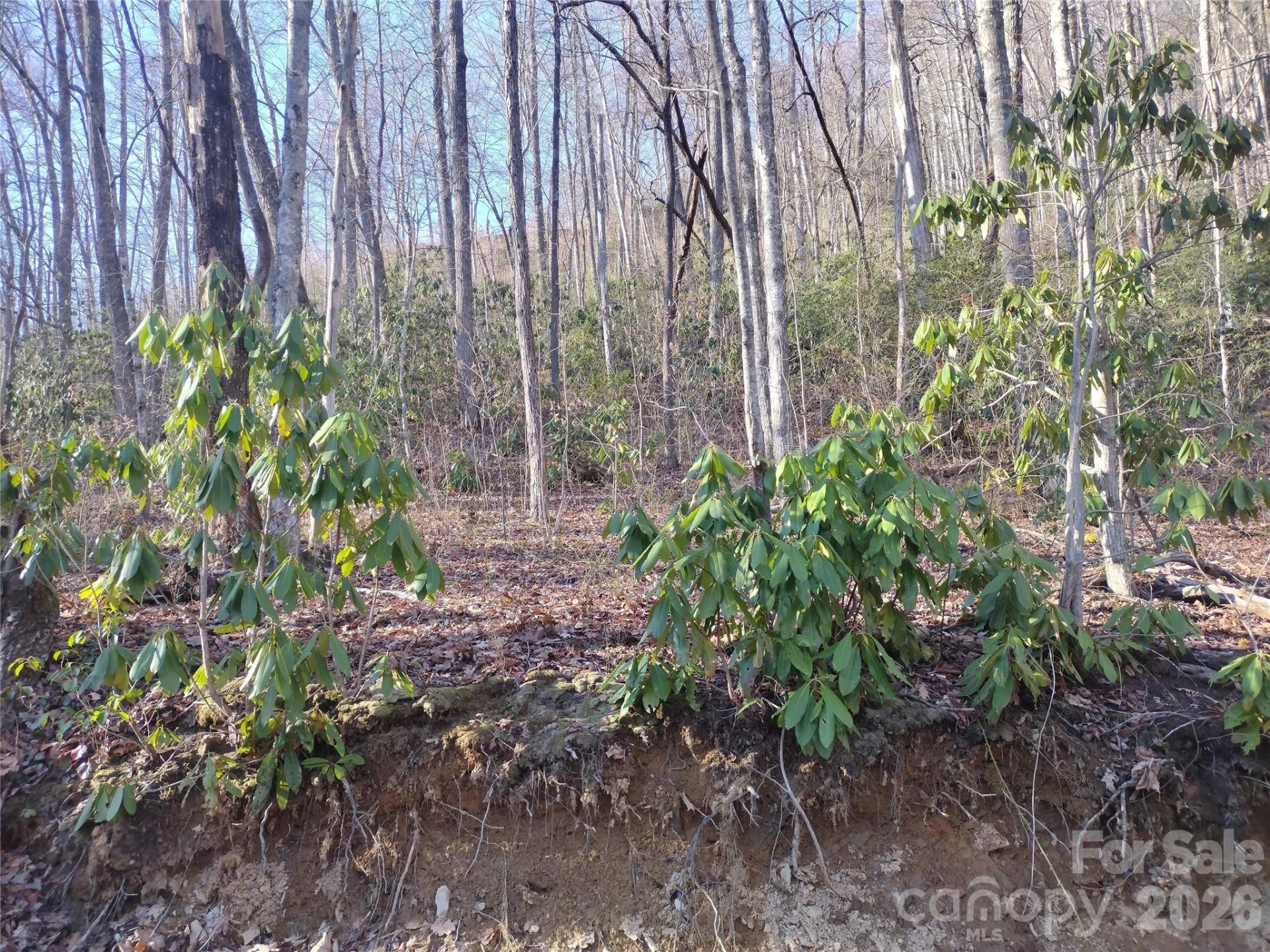 241 Bloom Trail - Photo 25