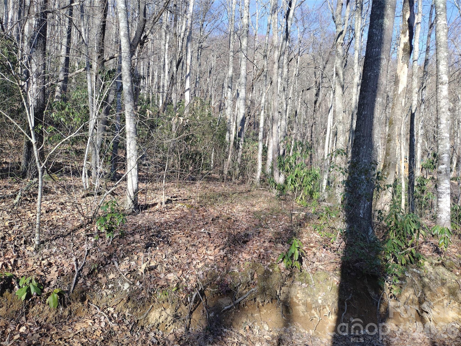 241 Bloom Trail - Photo 15