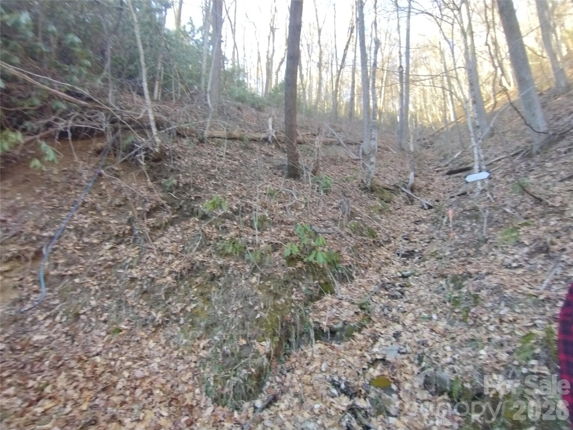 241 Bloom Trail - Photo 16