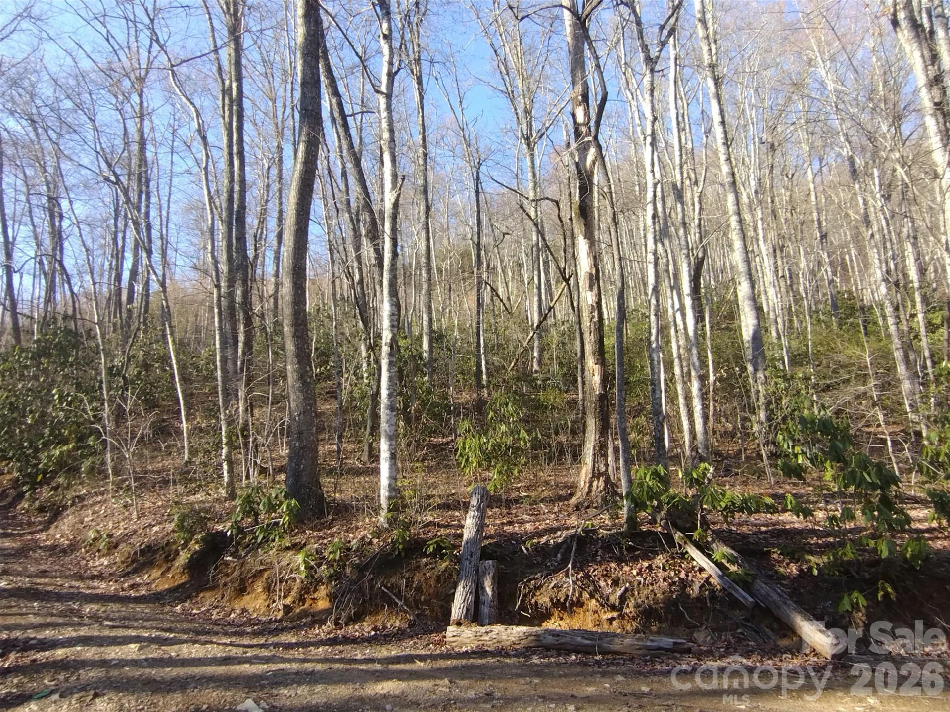 241 Bloom Trail - Photo 31