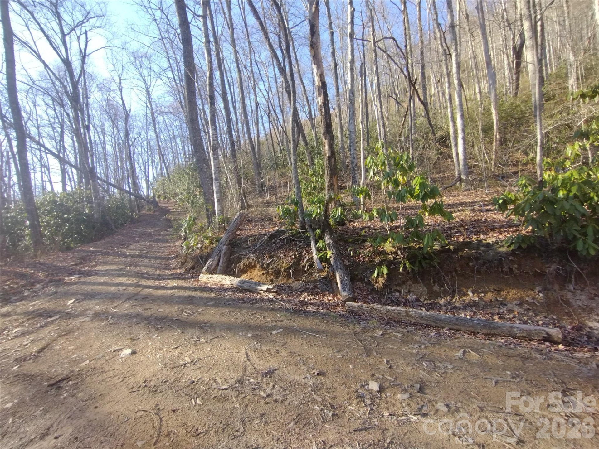 241 Bloom Trail - Photo 19