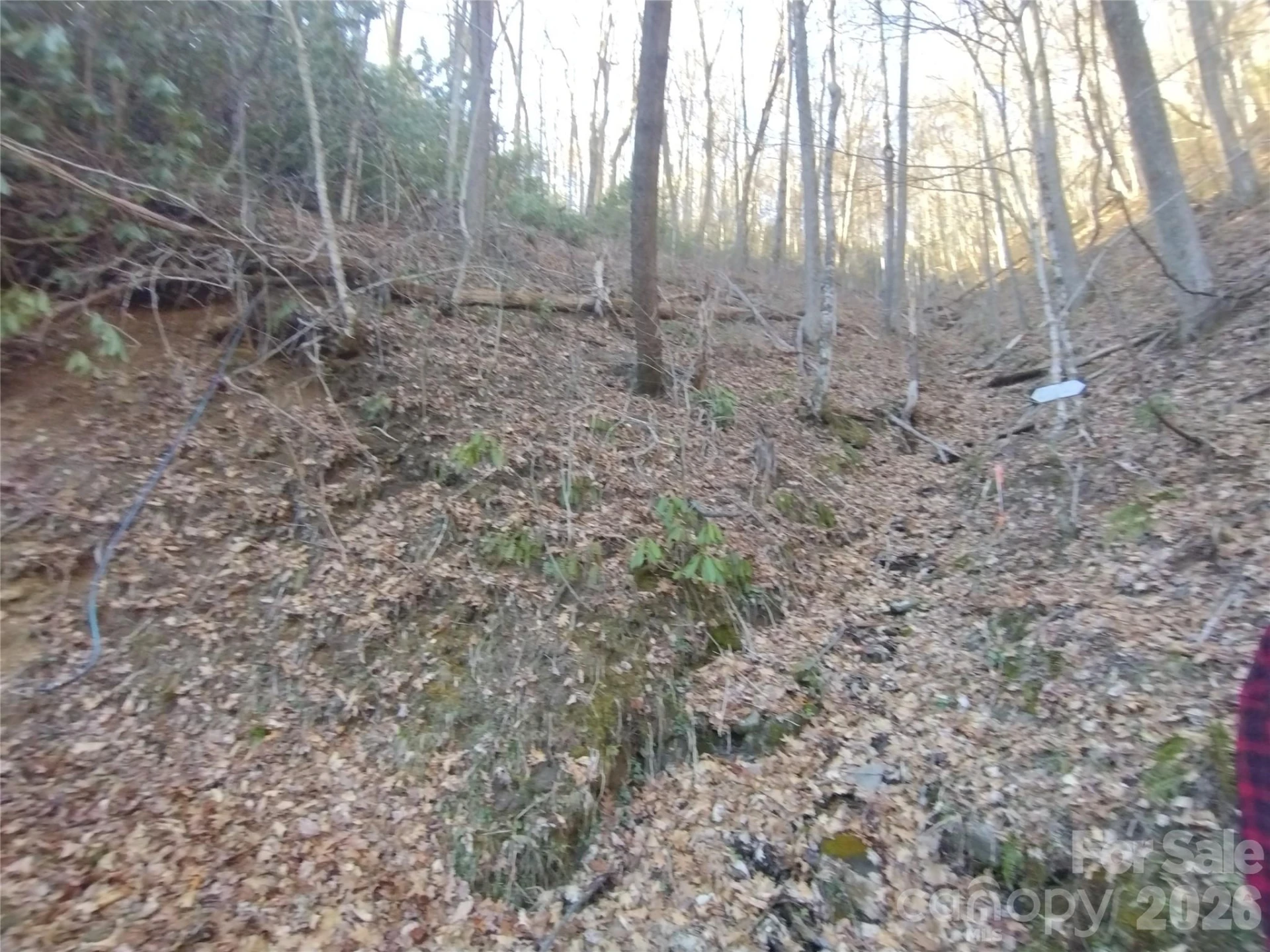 241 Bloom Trail - Photo 37