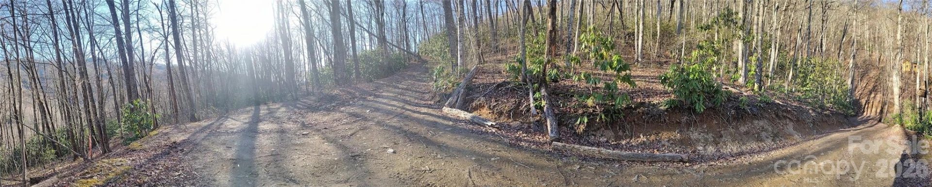 241 Bloom Trail - Photo 39