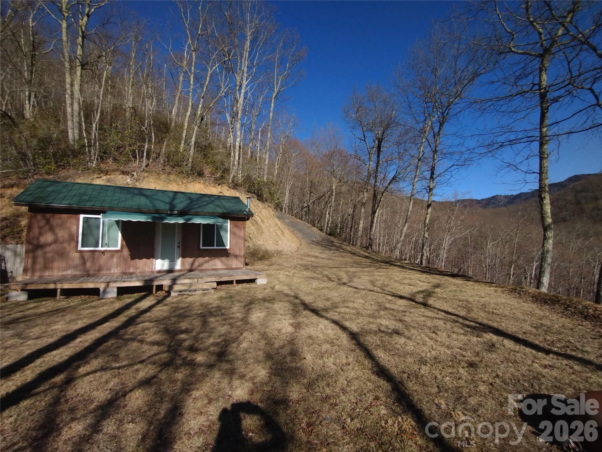 241 Bloom Trail - Photo 5