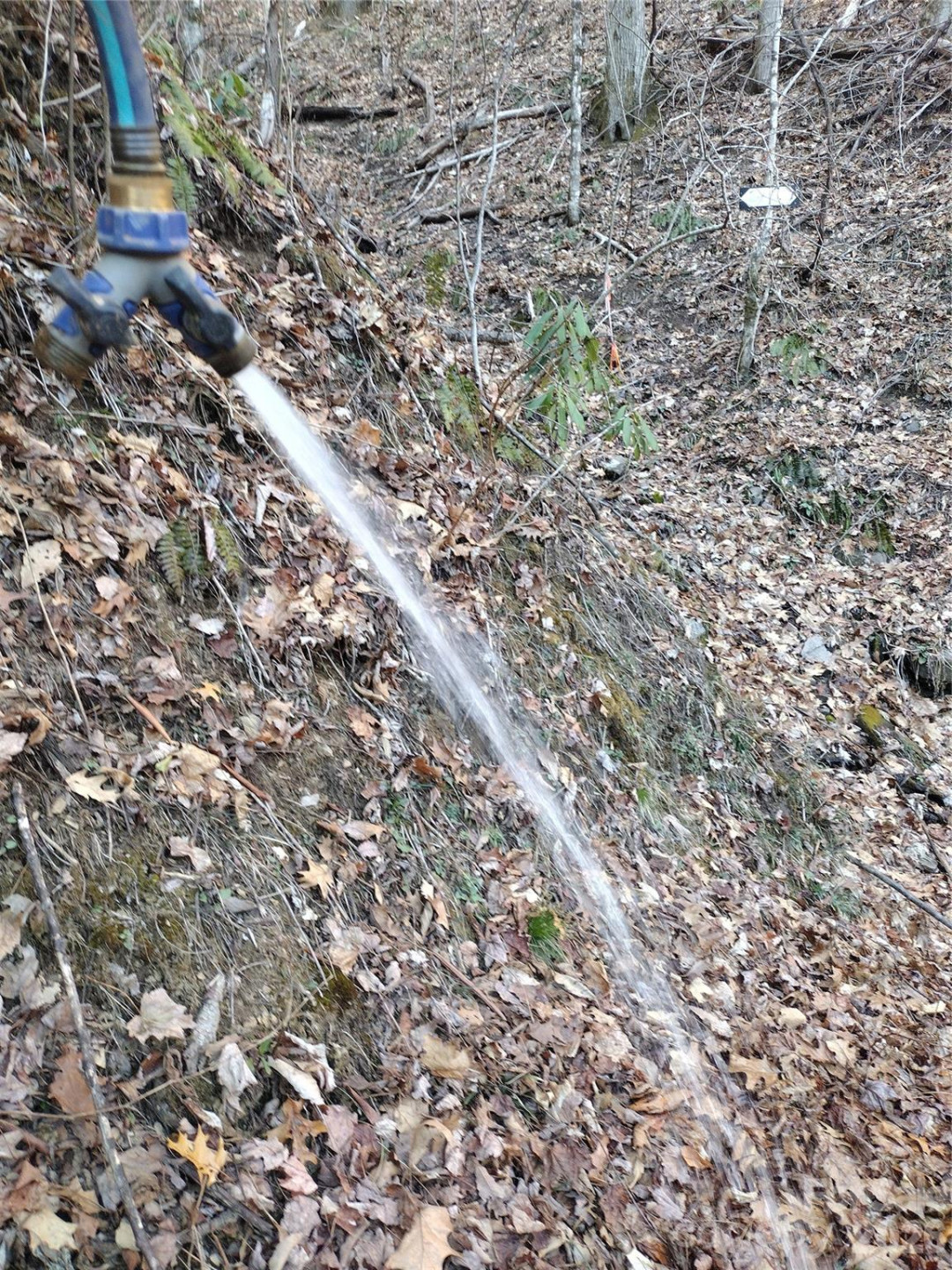 241 Bloom Trail - Photo 21