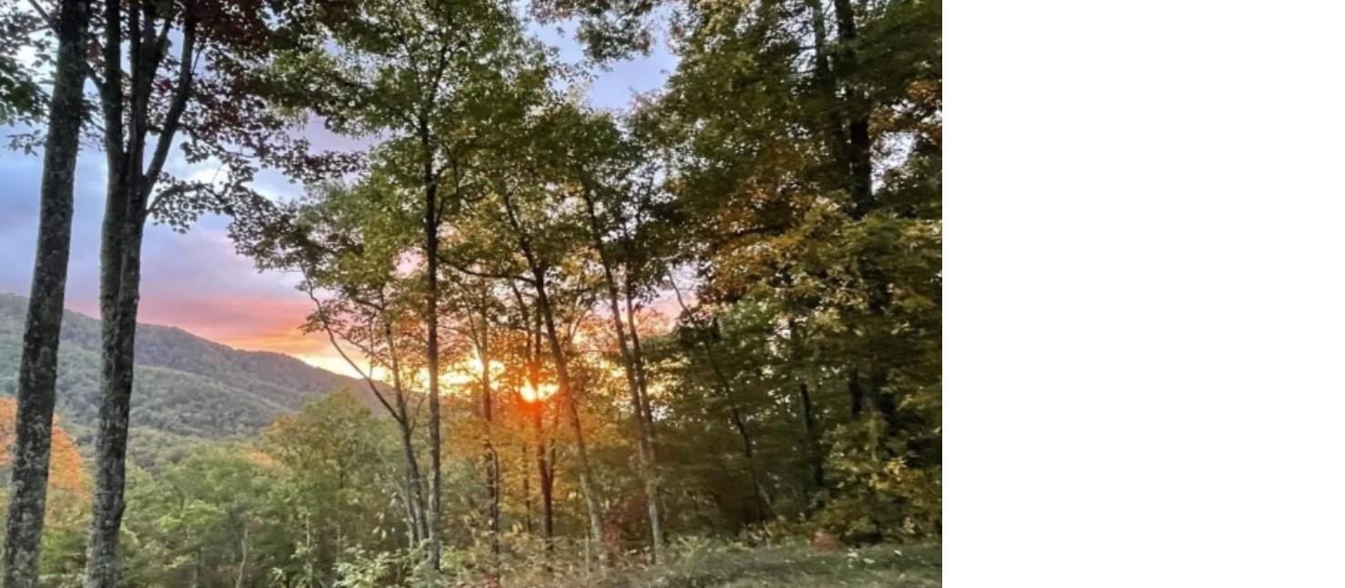 241 Bloom Trail - Photo 22