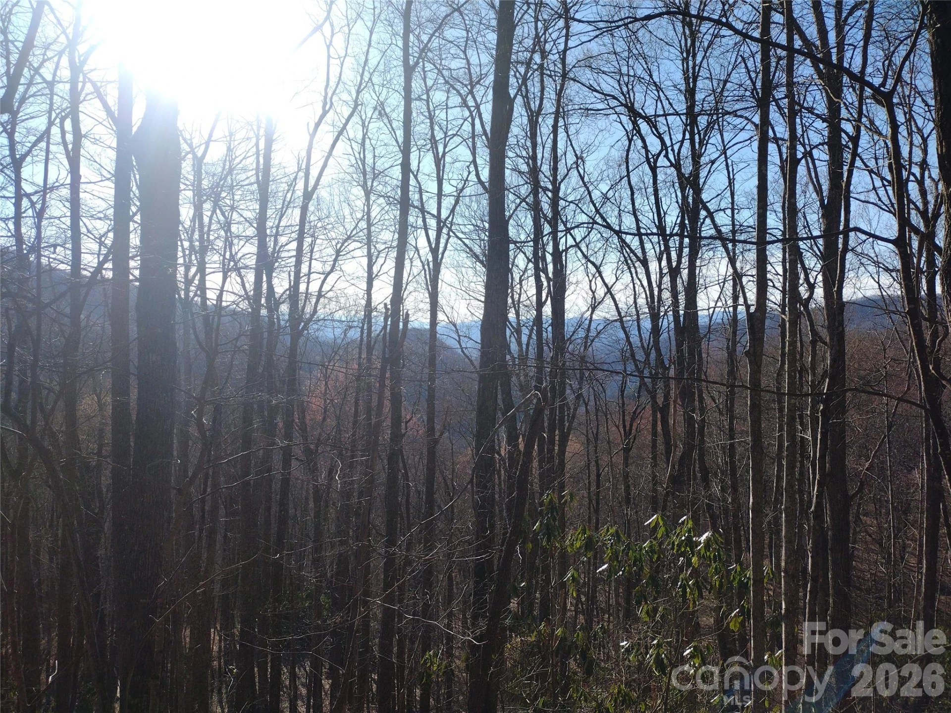 241 Bloom Trail - Photo 43