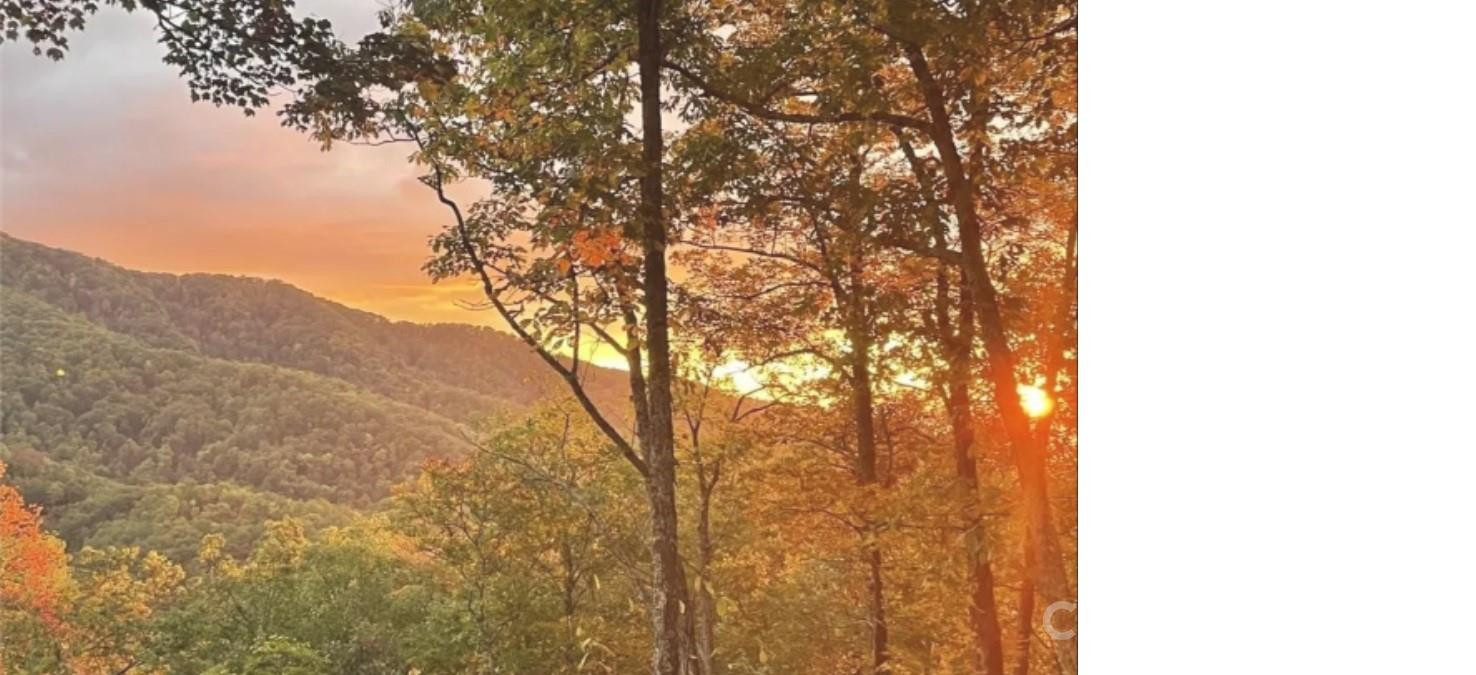 241 Bloom Trail - Photo 23