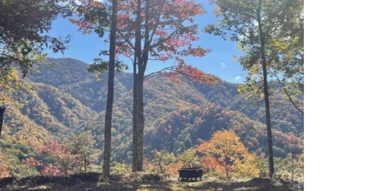 241 Bloom Trail - Photo 4