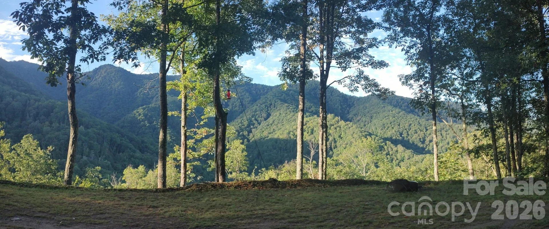 241 Bloom Trail - Photo 9