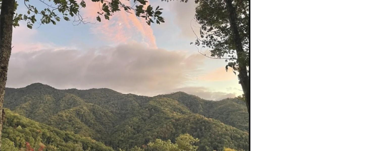 241 Bloom Trail - Photo 6