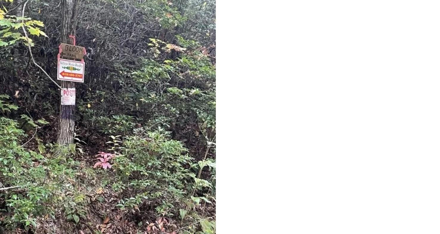 241 Bloom Trail - Photo 7