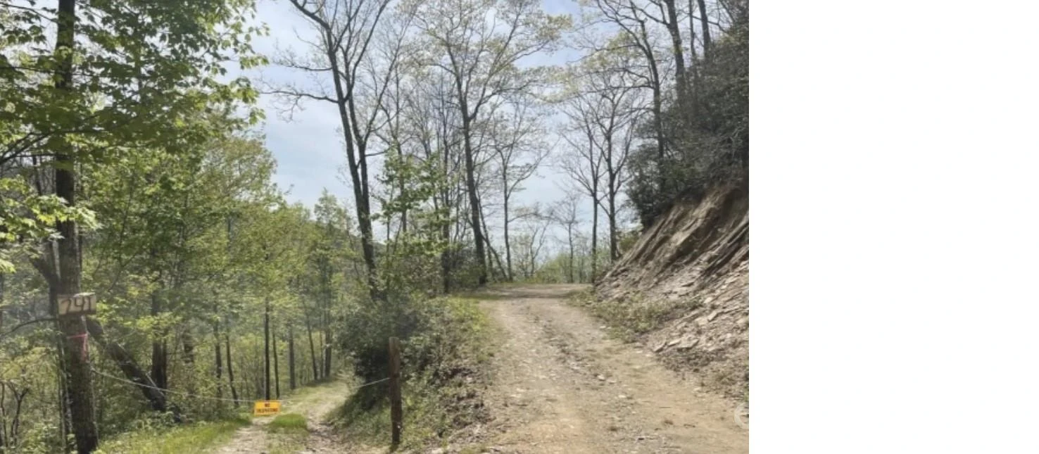 241 Bloom Trail - Photo 13
