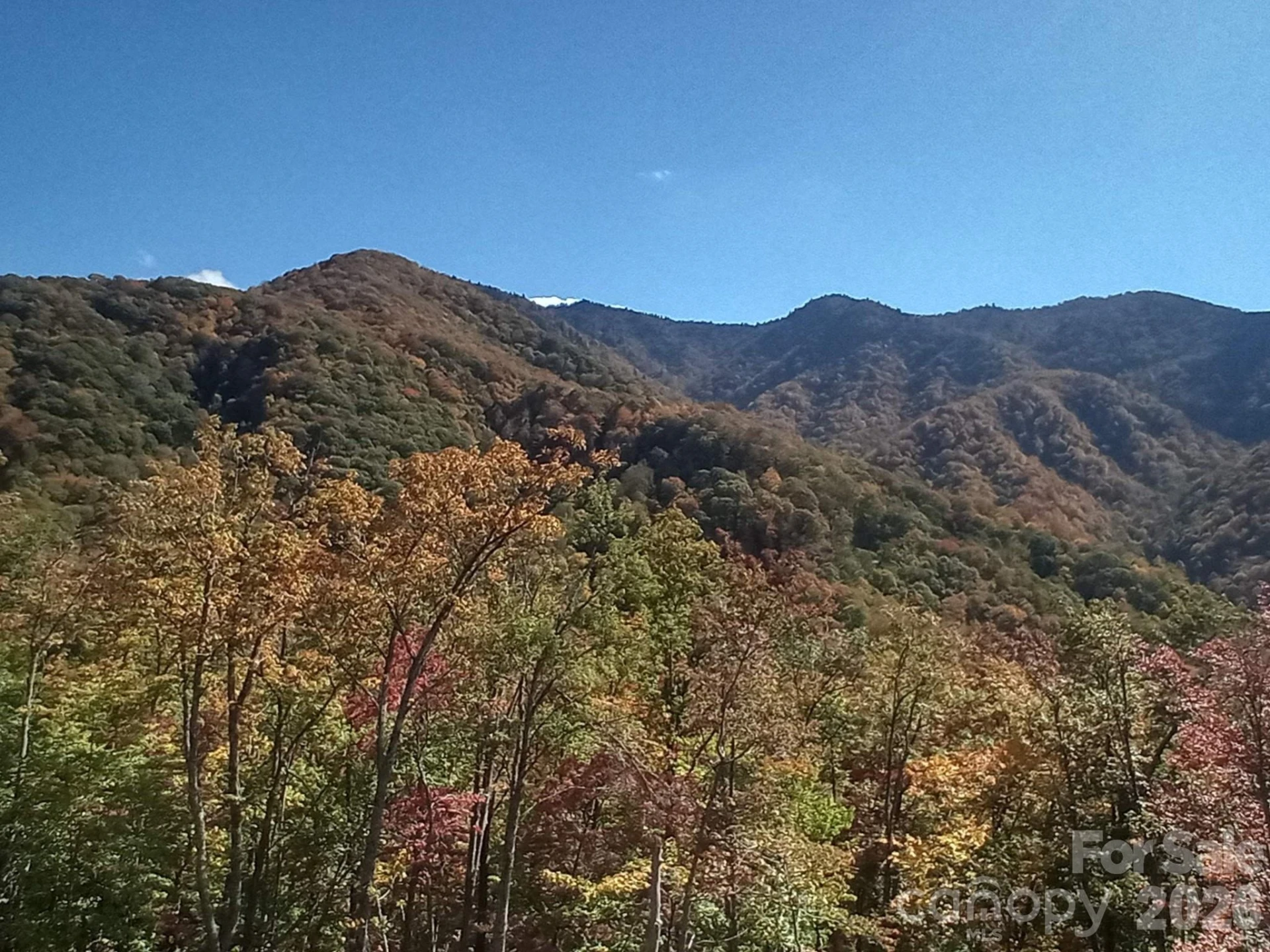 241 Bloom Trail - Photo 15
