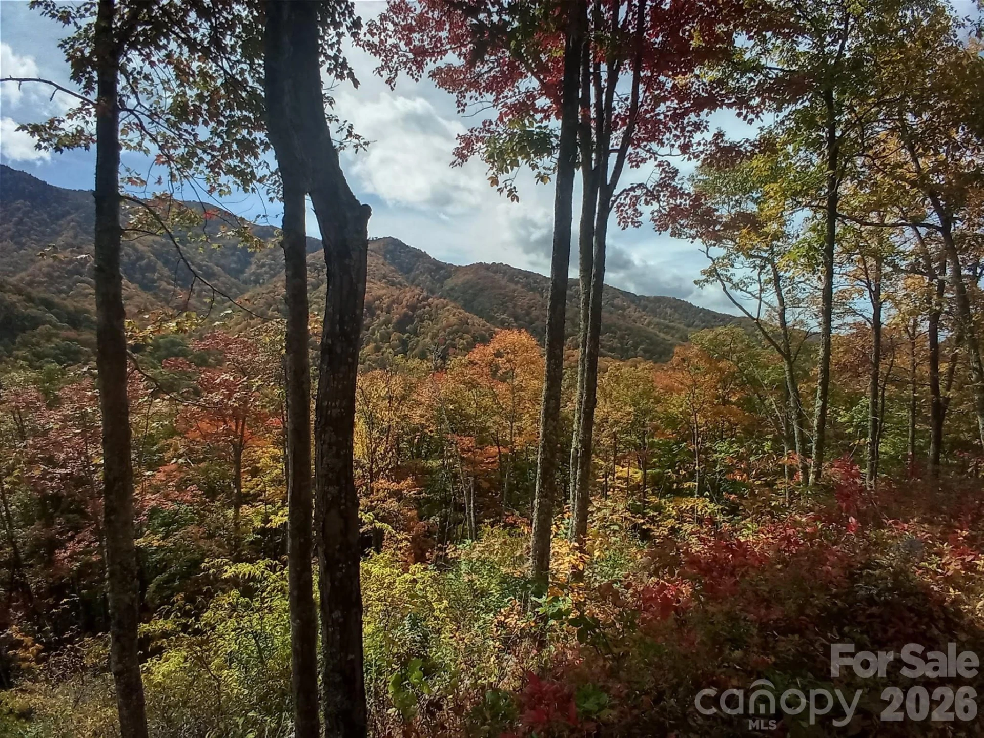 241 Bloom Trail - Photo 17