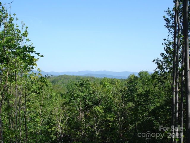 TBD Black Lark Drive