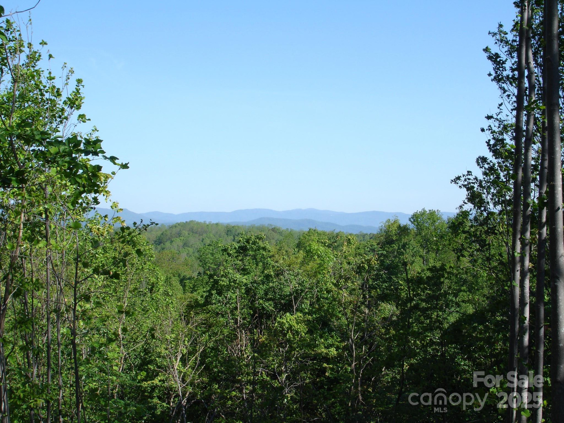 TBD Black Lark Drive