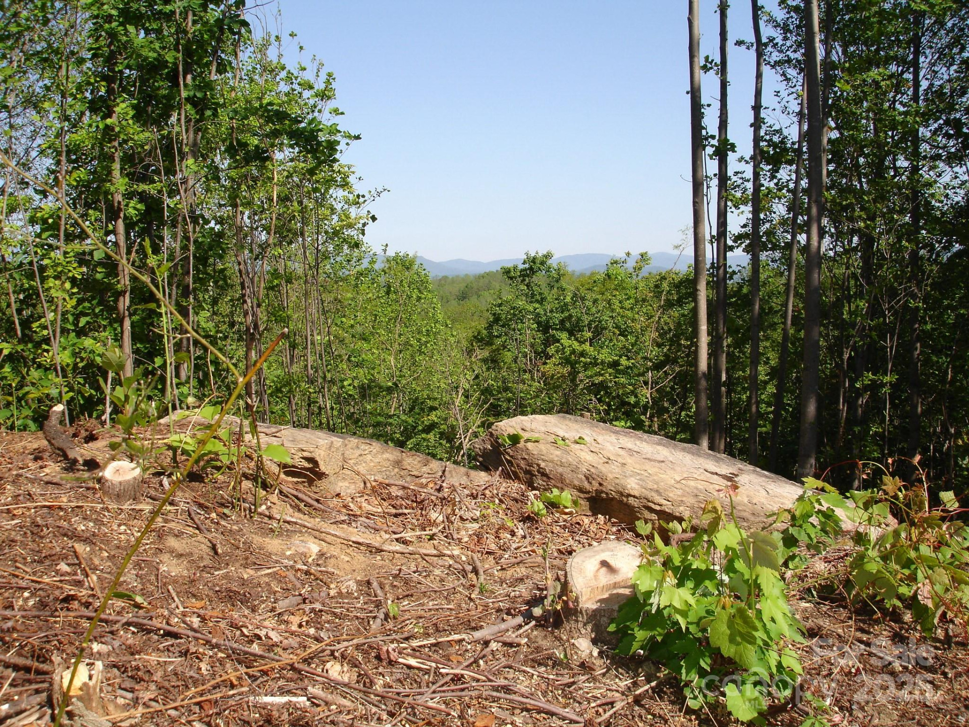 TBD Black Lark Drive - Photo 2