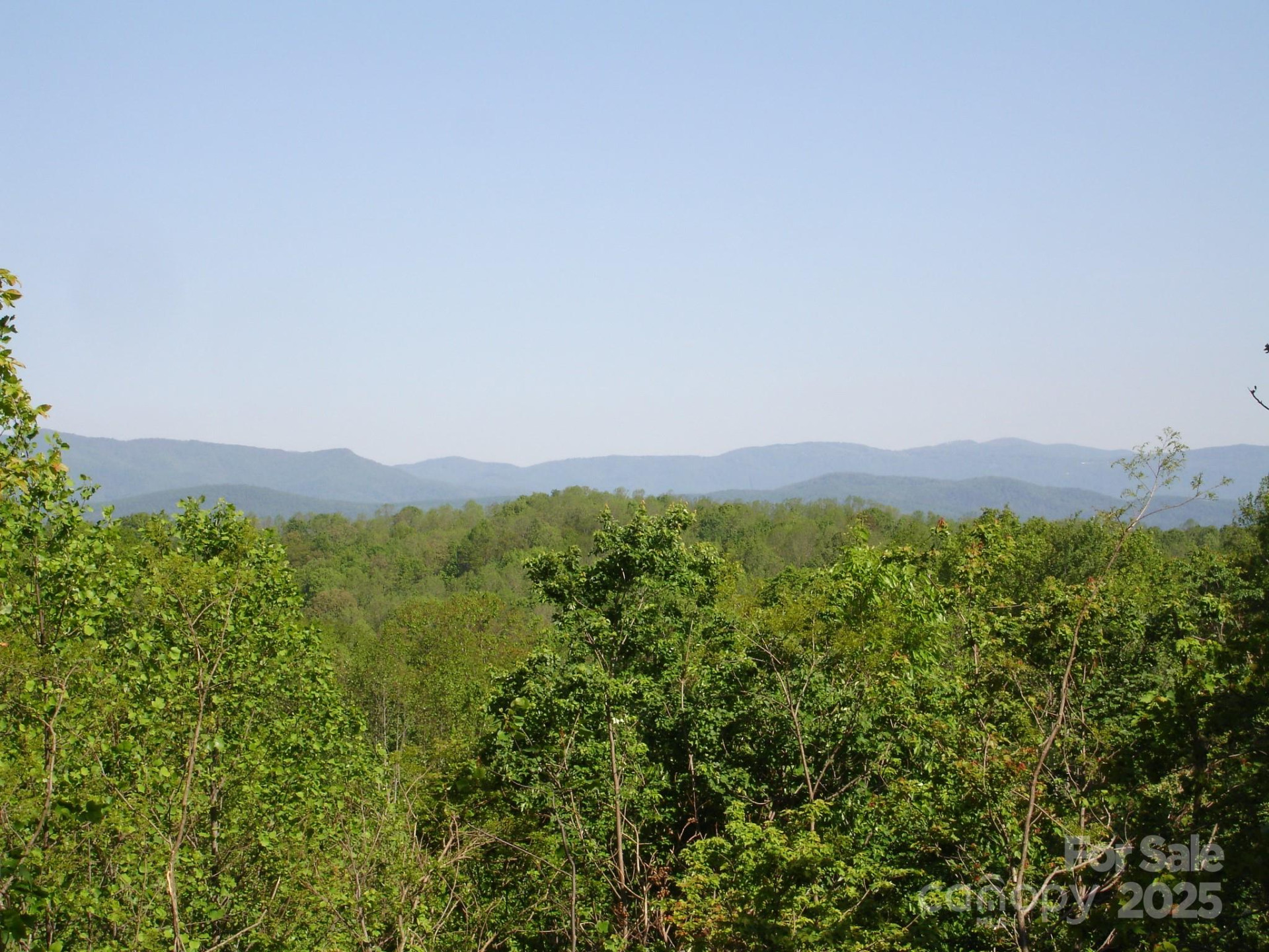 TBD Black Lark Drive - Photo 3