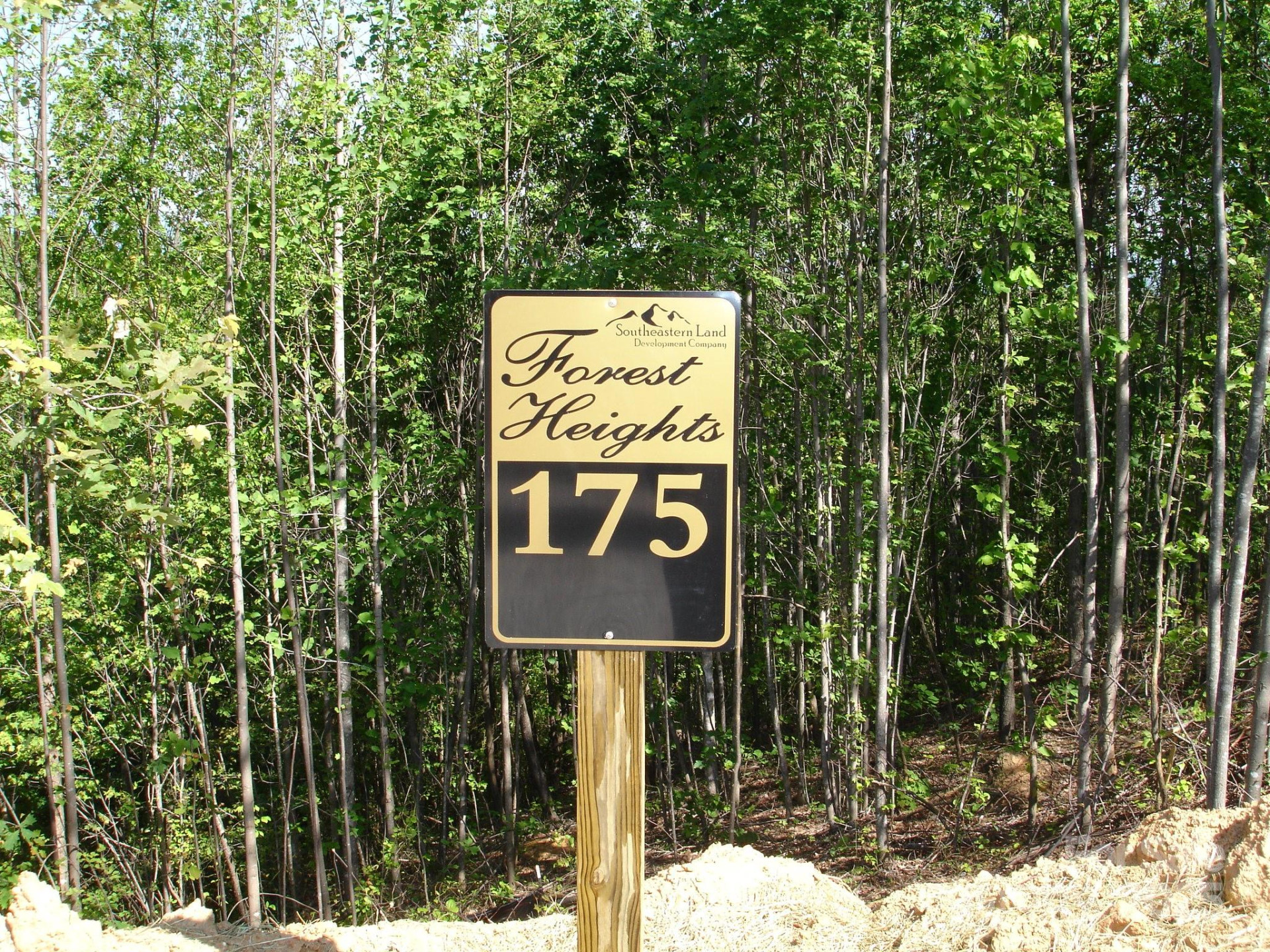 TBD Black Lark Drive - Photo 4