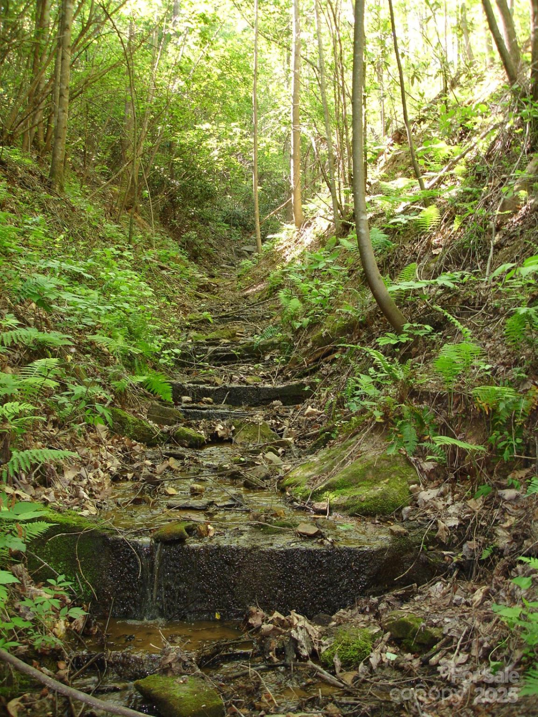 TBD Black Lark Drive - Photo 5