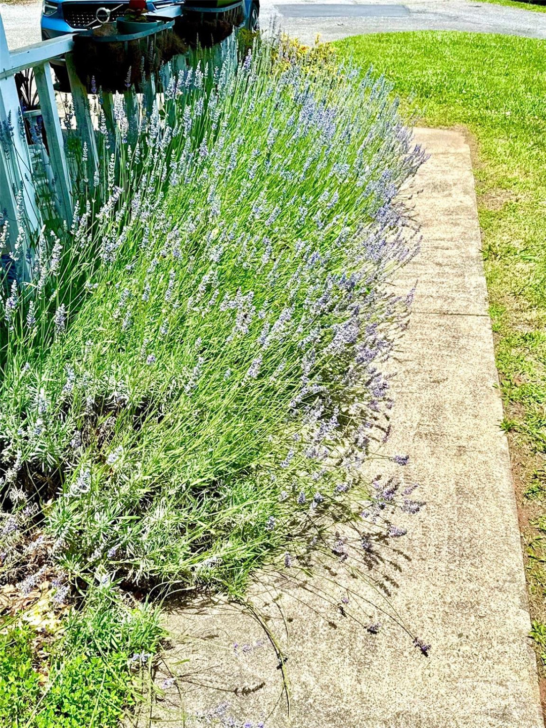 3 Rocking Porch Road - Photo 7