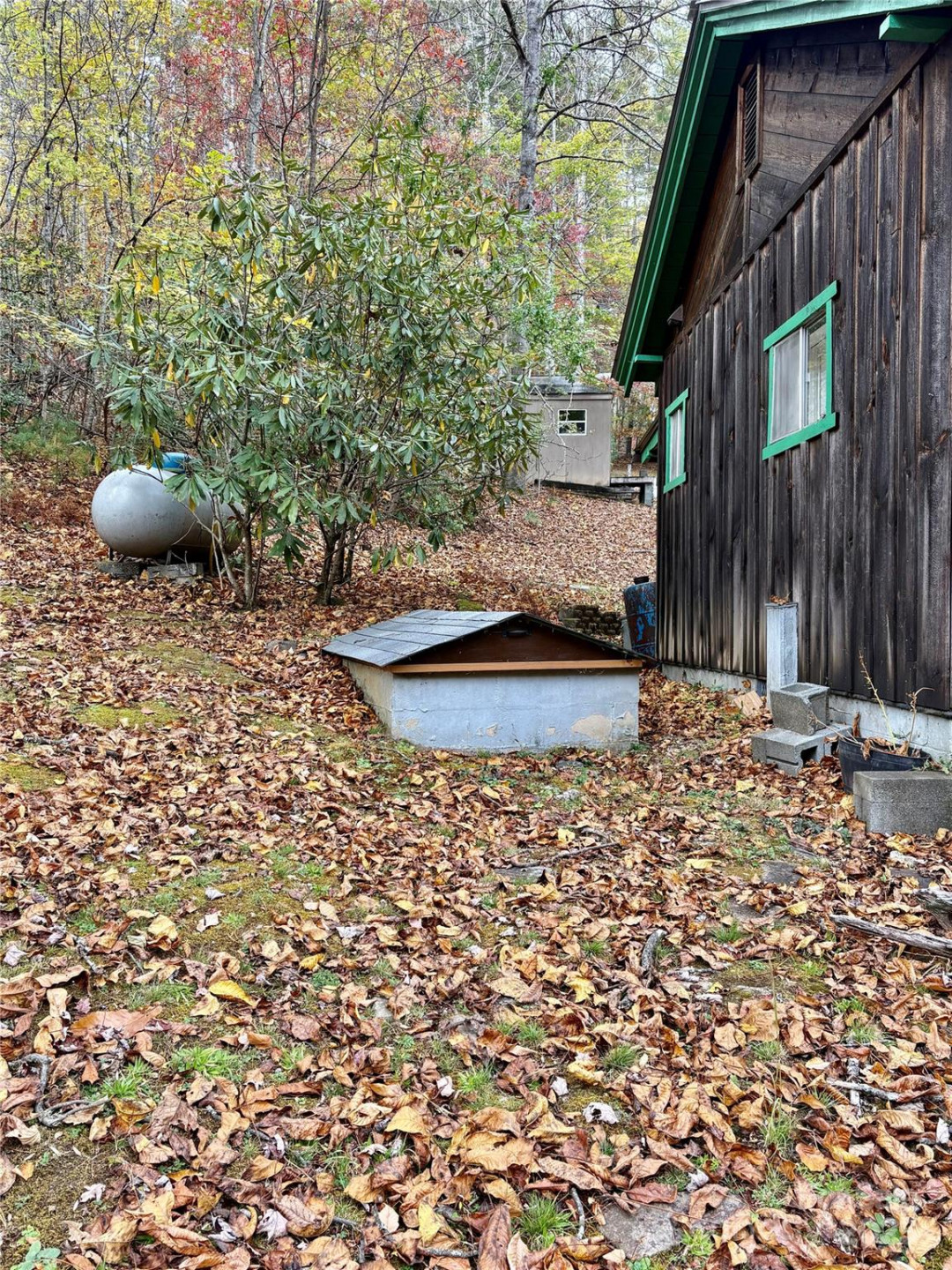 875 Carson Creek Road - Photo 13