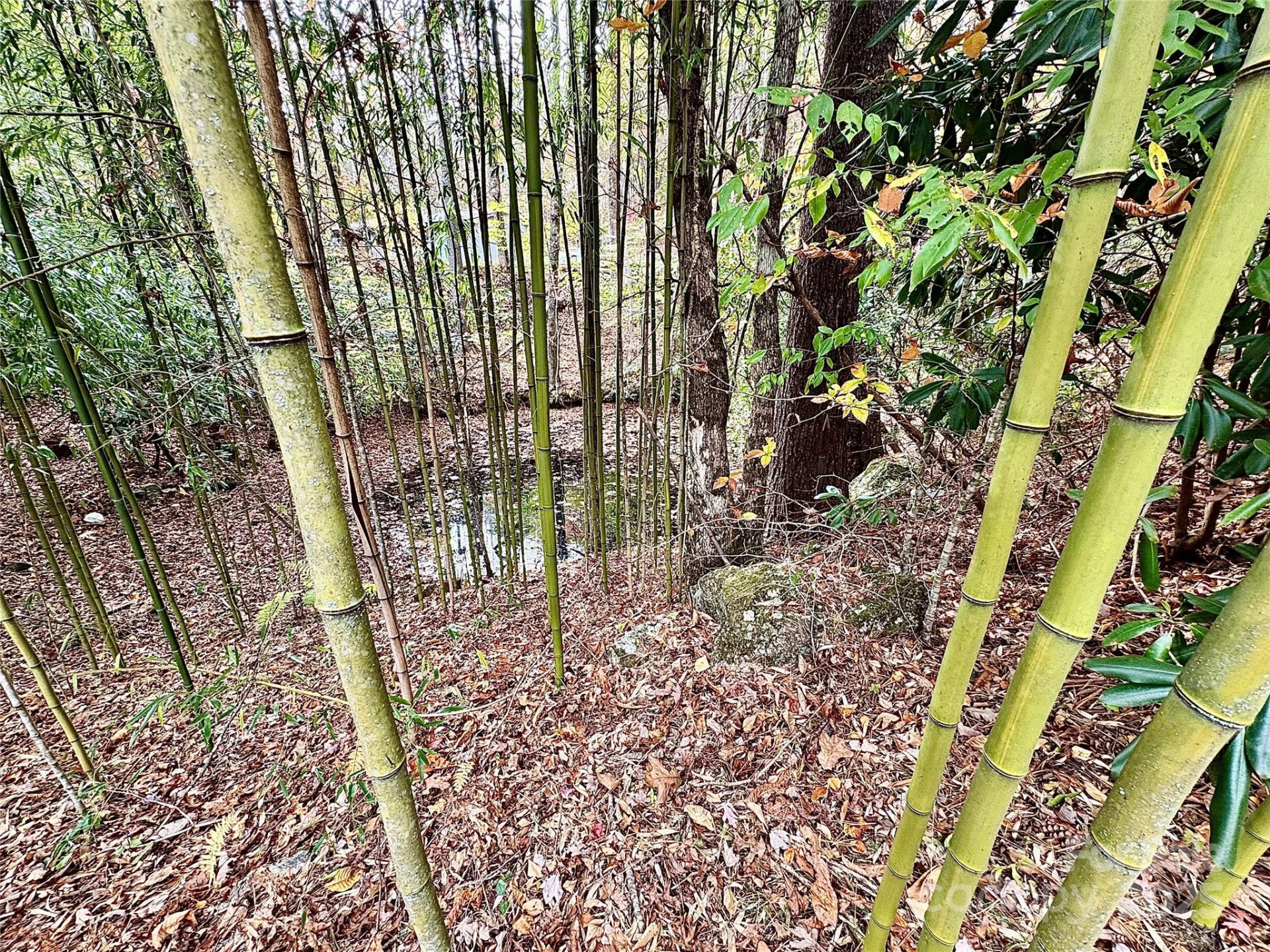 875 Carson Creek Road - Photo 14