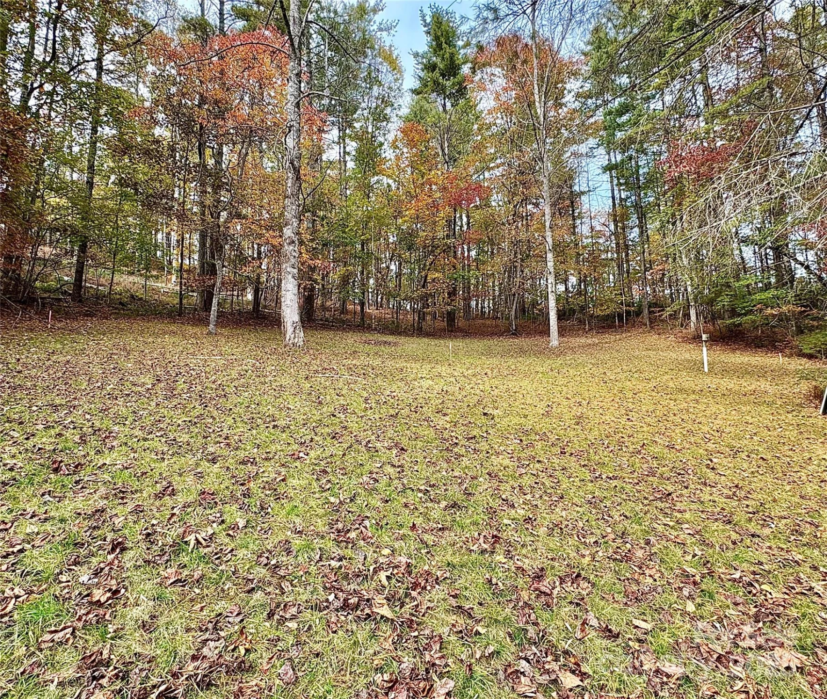 875 Carson Creek Road - Photo 8