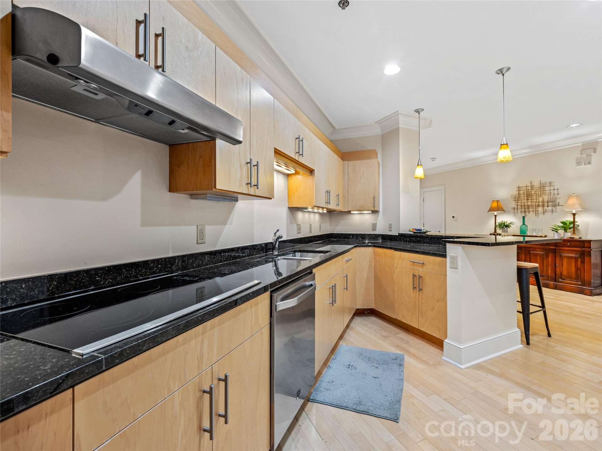 21 Battery Park Avenue #308 - Photo 7