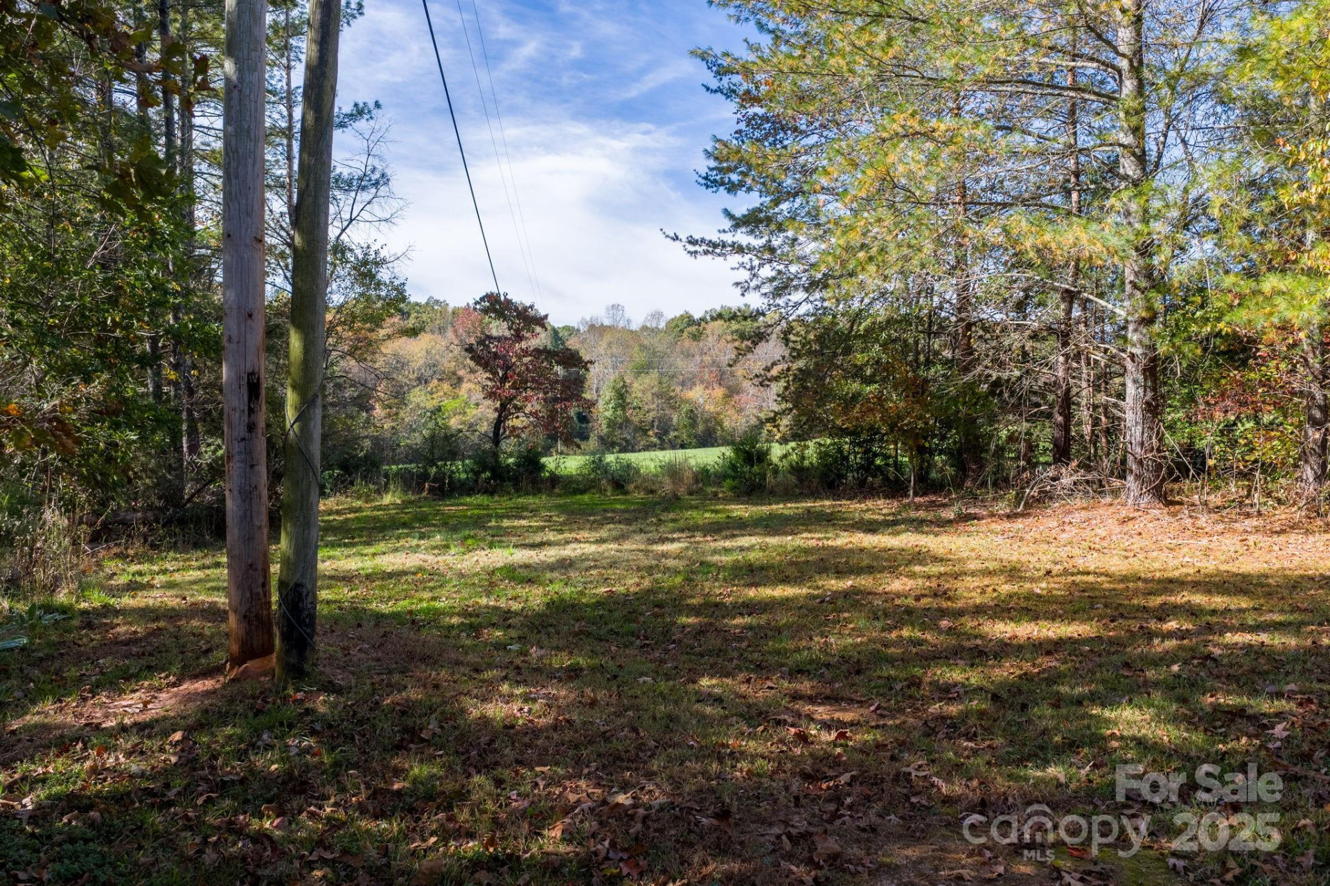 3025 Vance Denton Road - Photo 6
