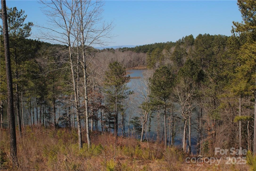 2226 Inlet Shore Road #29 - Photo 12