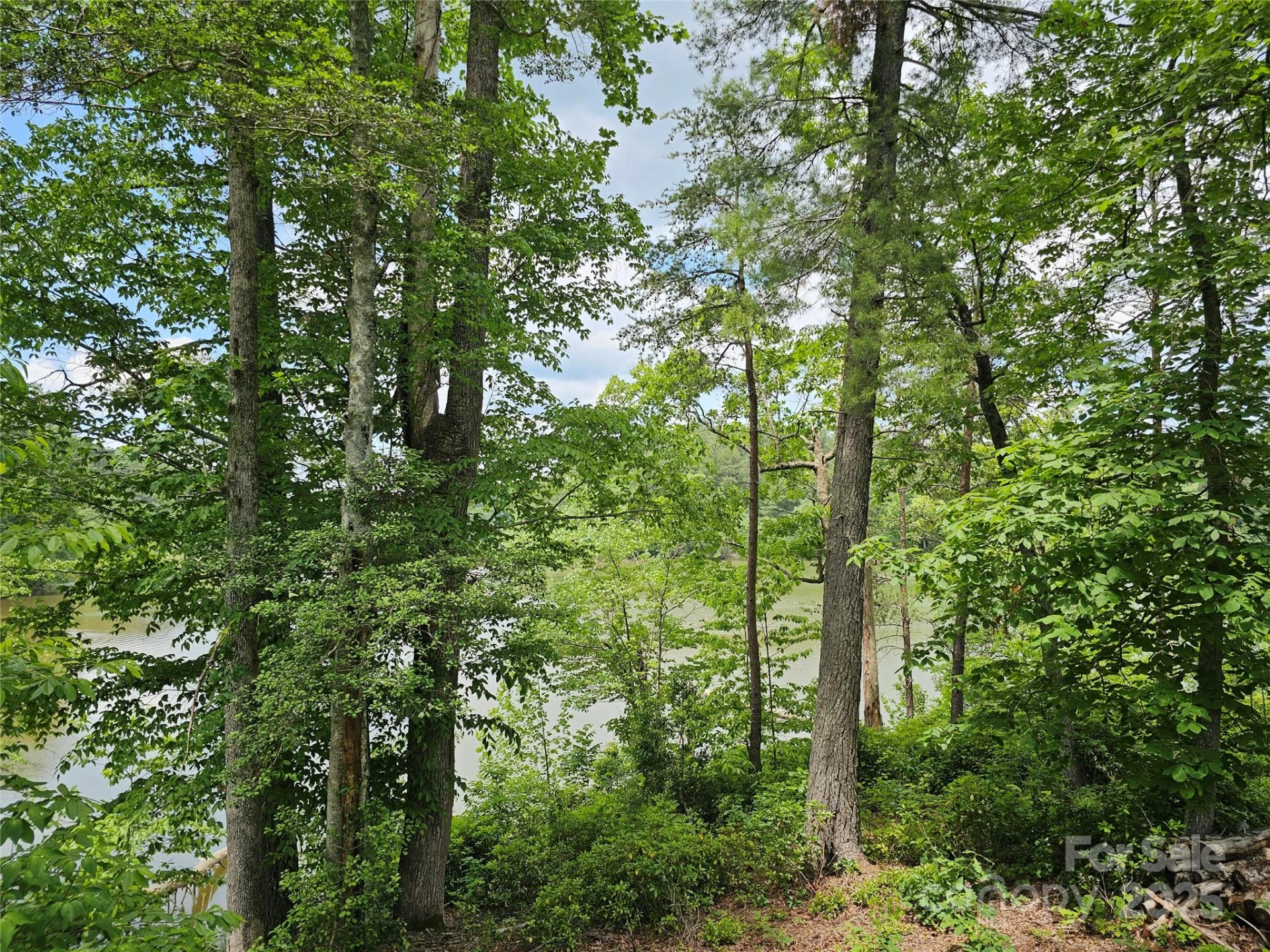 2226 Inlet Shore Road #29 - Photo 14