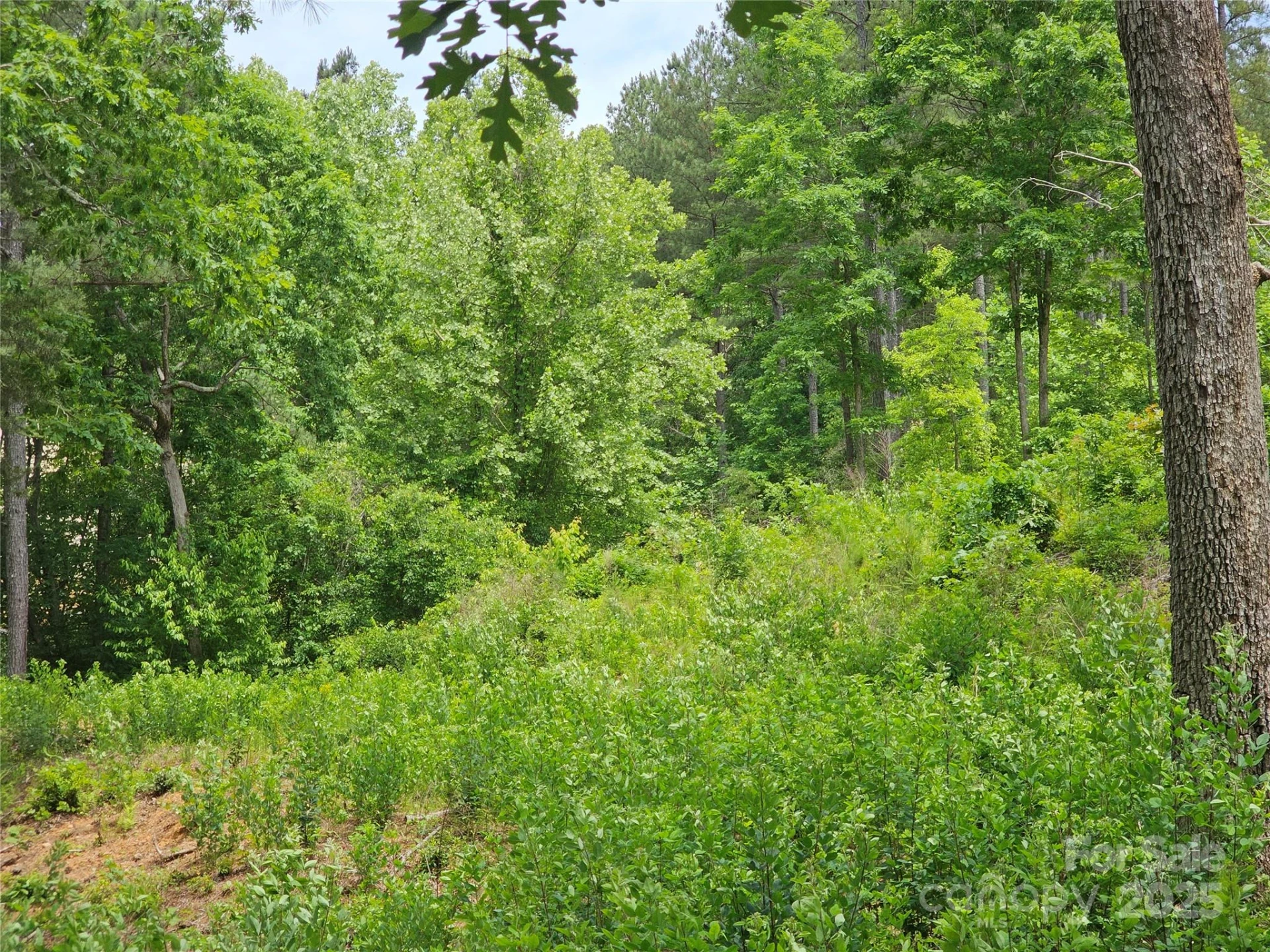 2226 Inlet Shore Road #29 - Photo 15