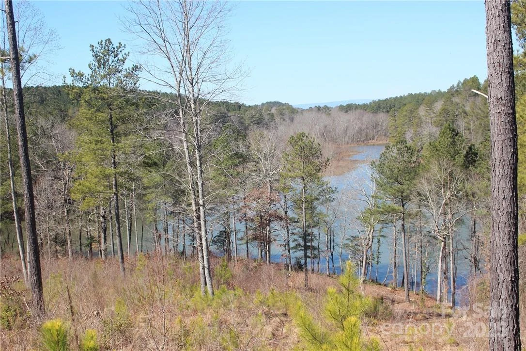 2226 Inlet Shore Road #29 - Photo 3