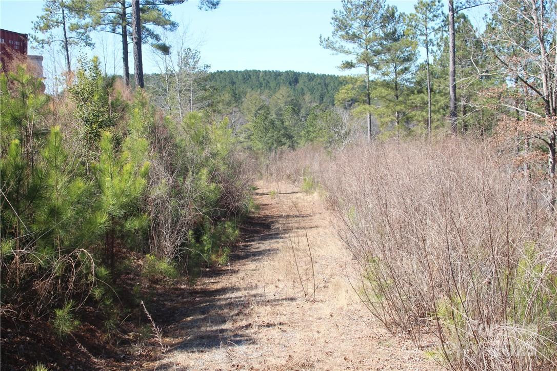 2226 Inlet Shore Road #29 - Photo 7