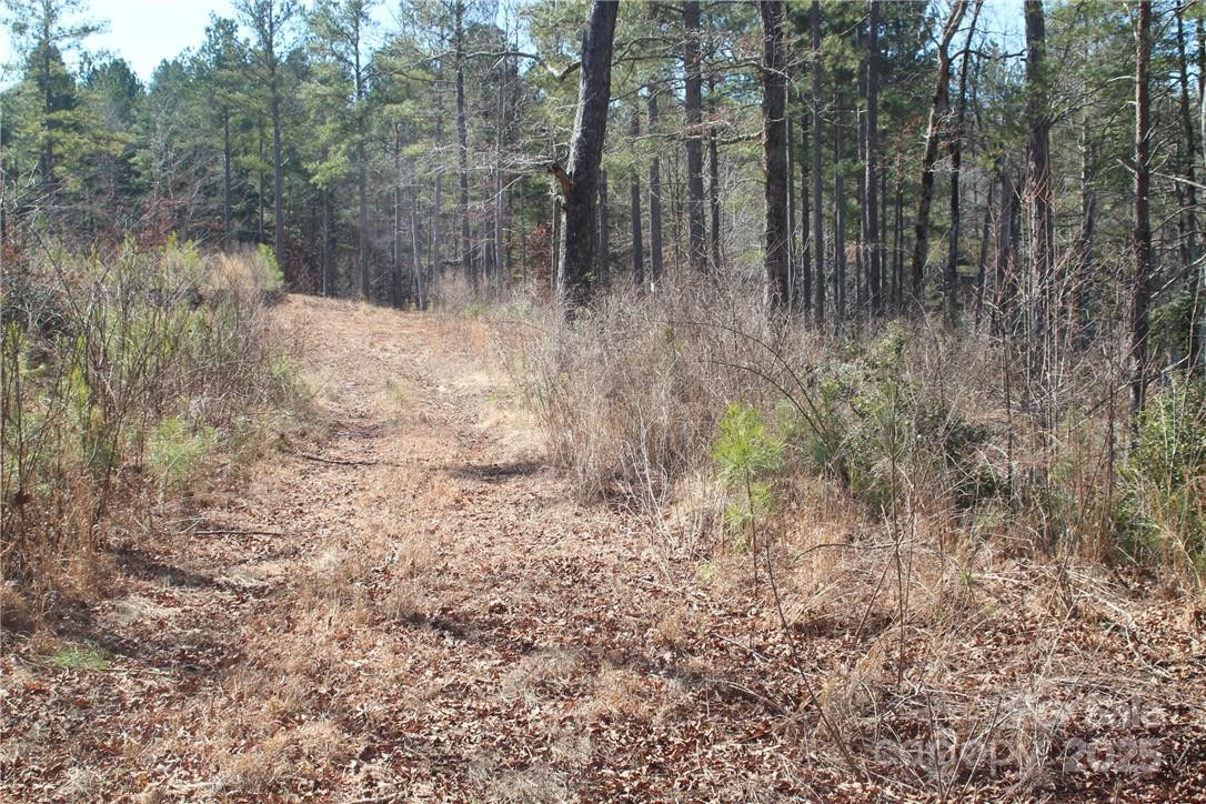 2226 Inlet Shore Road #29 - Photo 8