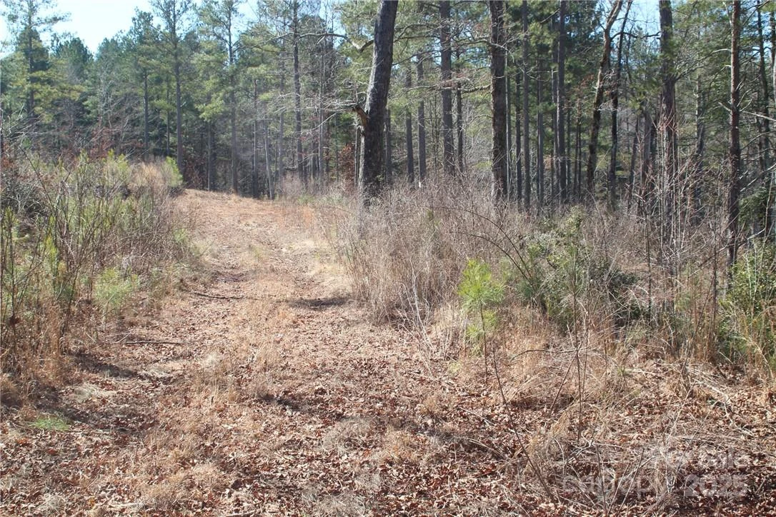 2226 Inlet Shore Road #29 - Photo 8