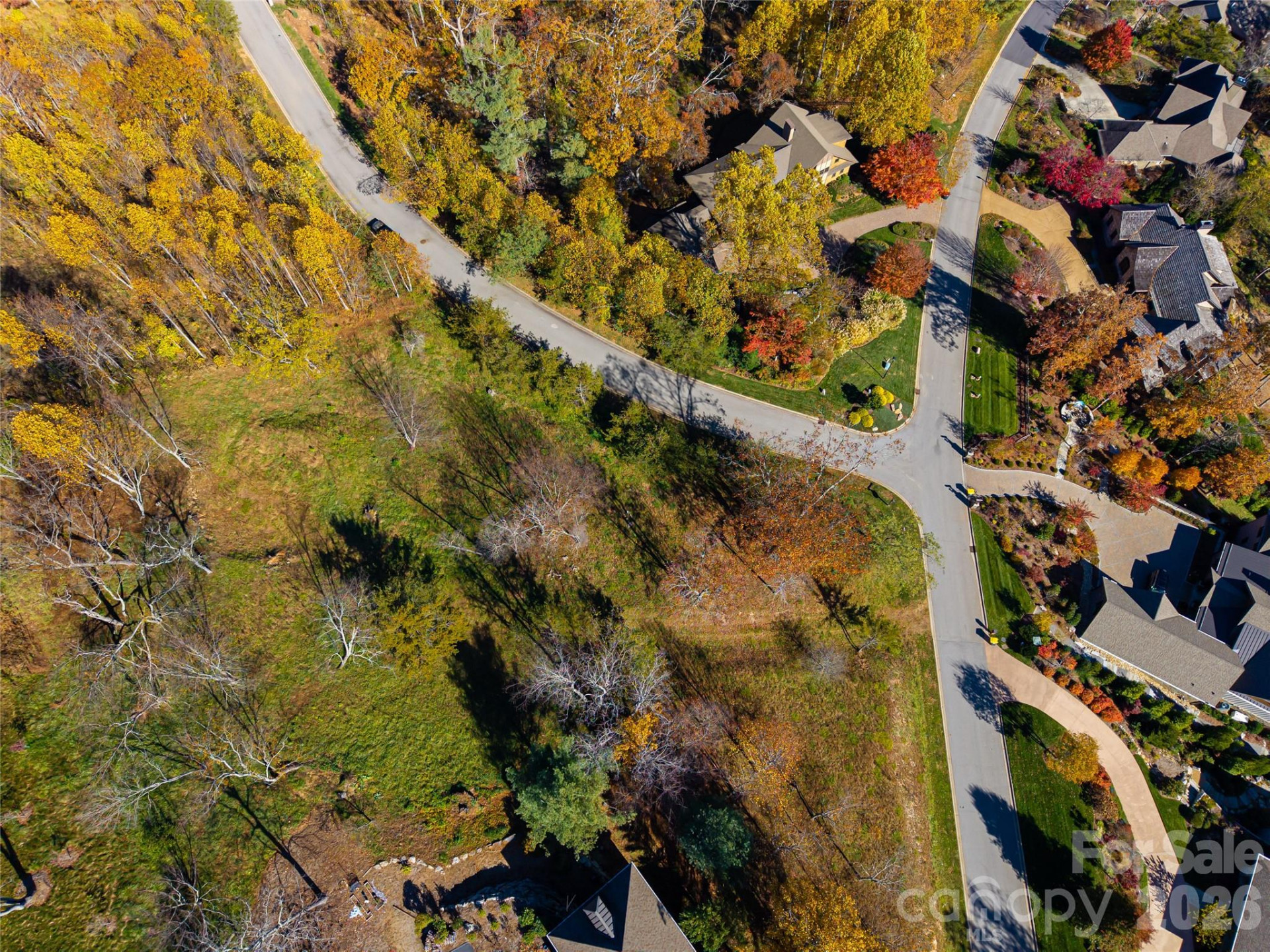 43 Summit Tower Circle - Photo 14