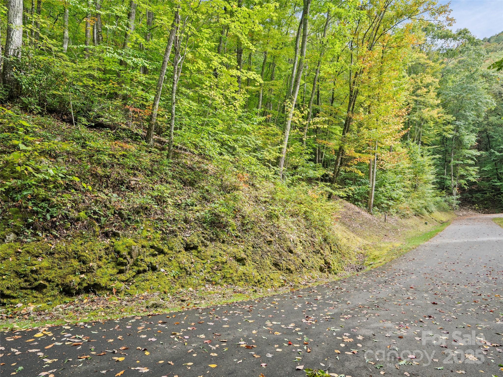 Lot 23 Finlaystone Trace - Photo 2