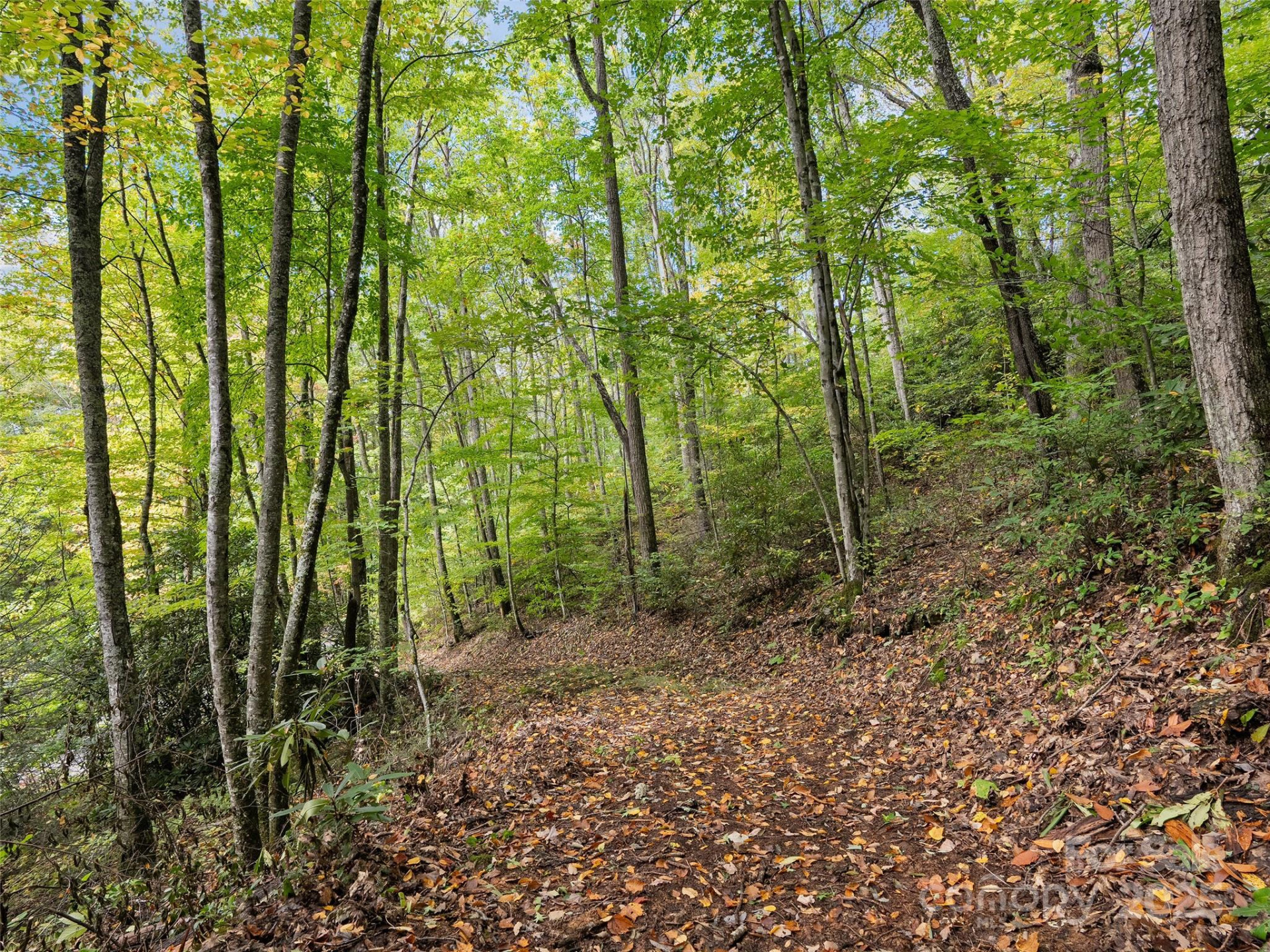 Lot 23 Finlaystone Trace - Photo 4