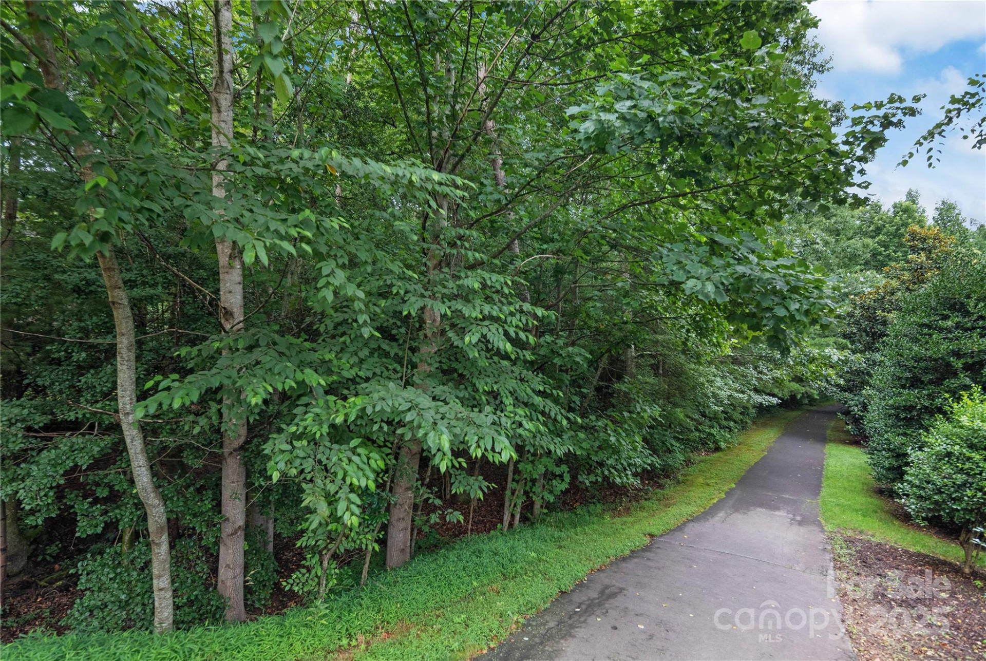 5 Farleigh Street #203 - Photo 26