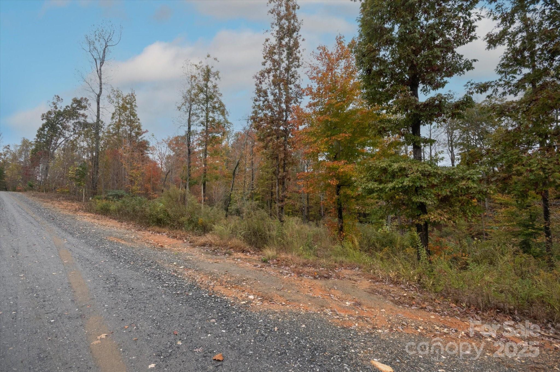 269 Mooseheart Road - Photo 3