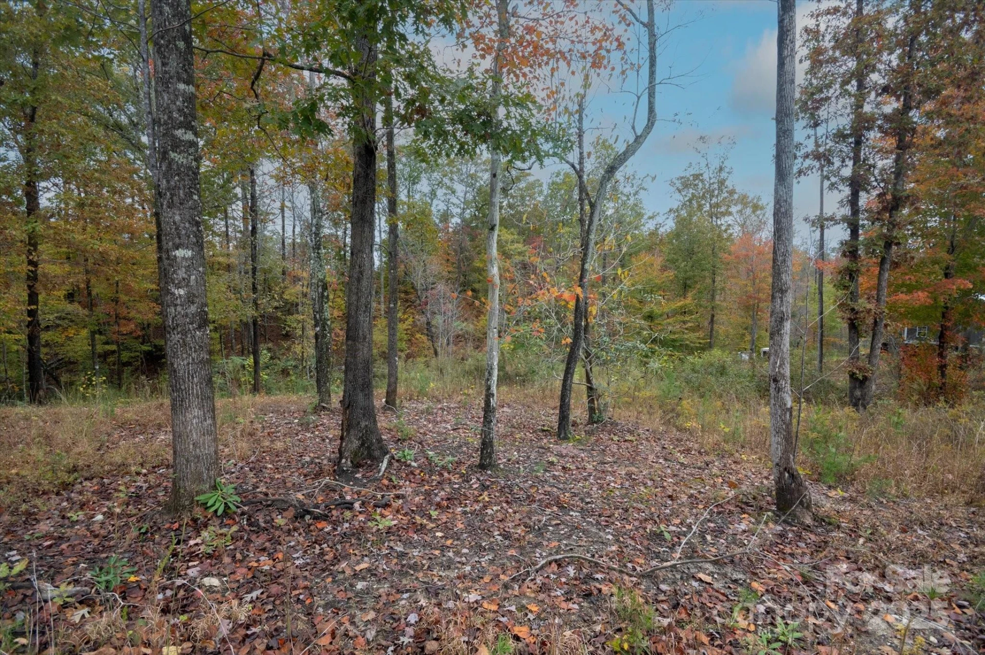 269 Mooseheart Road - Photo 6