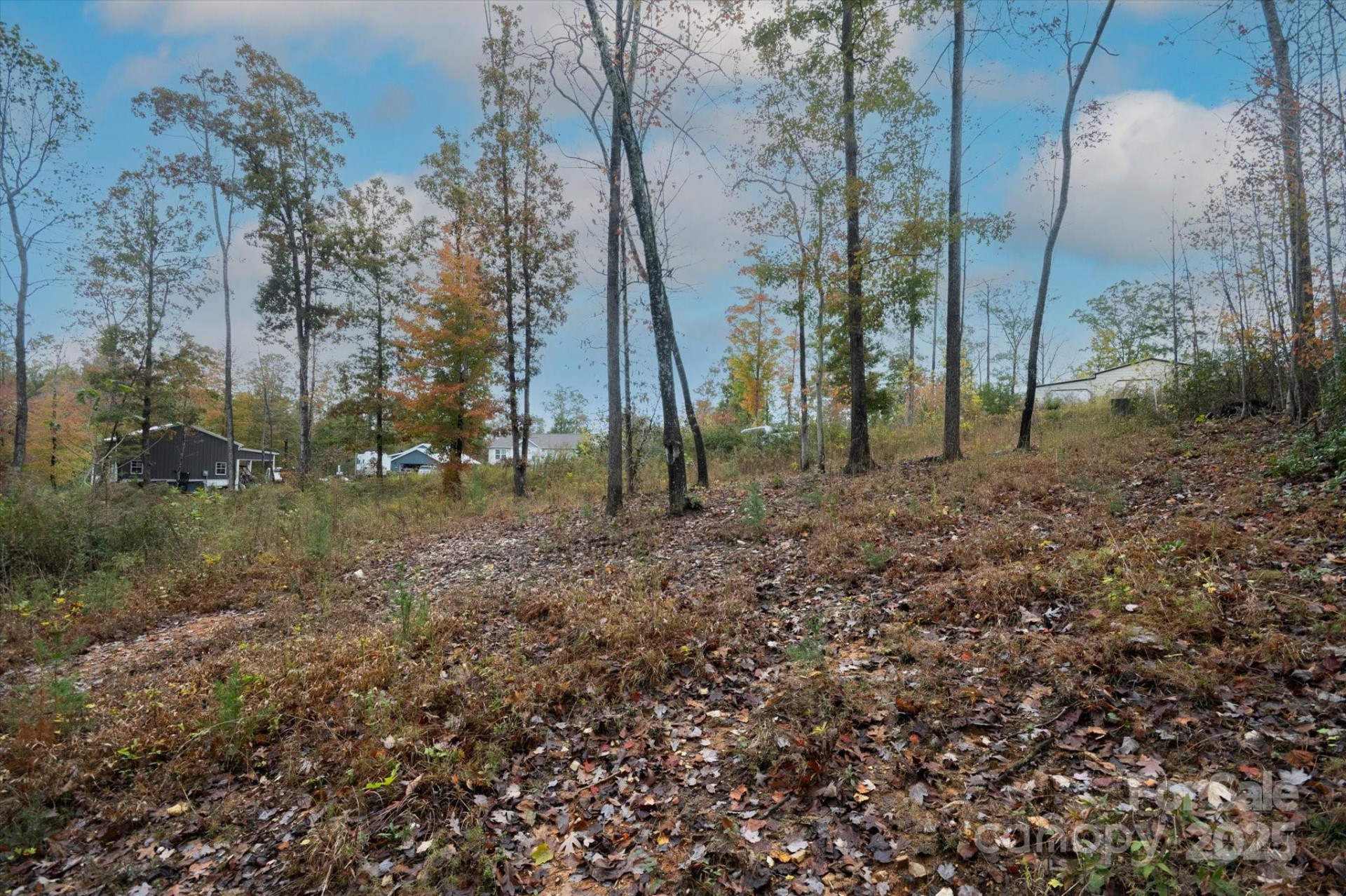 269 Mooseheart Road - Photo 7