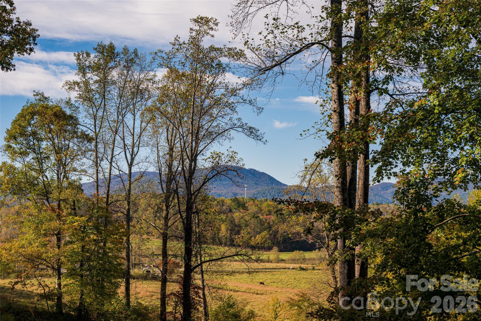 1487 Golf Course Road - Photo 8