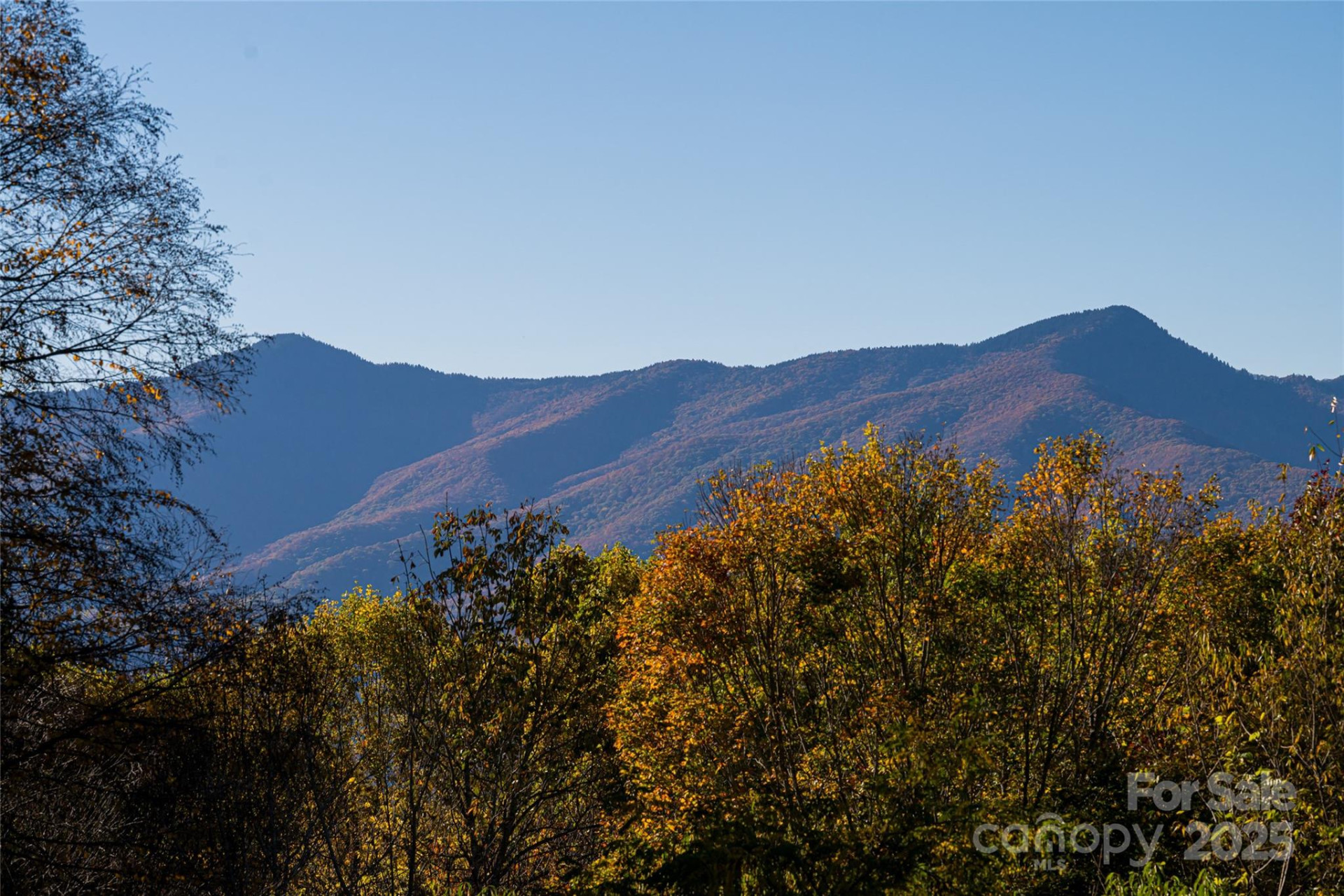 154 Presidential Drive - Photo 34