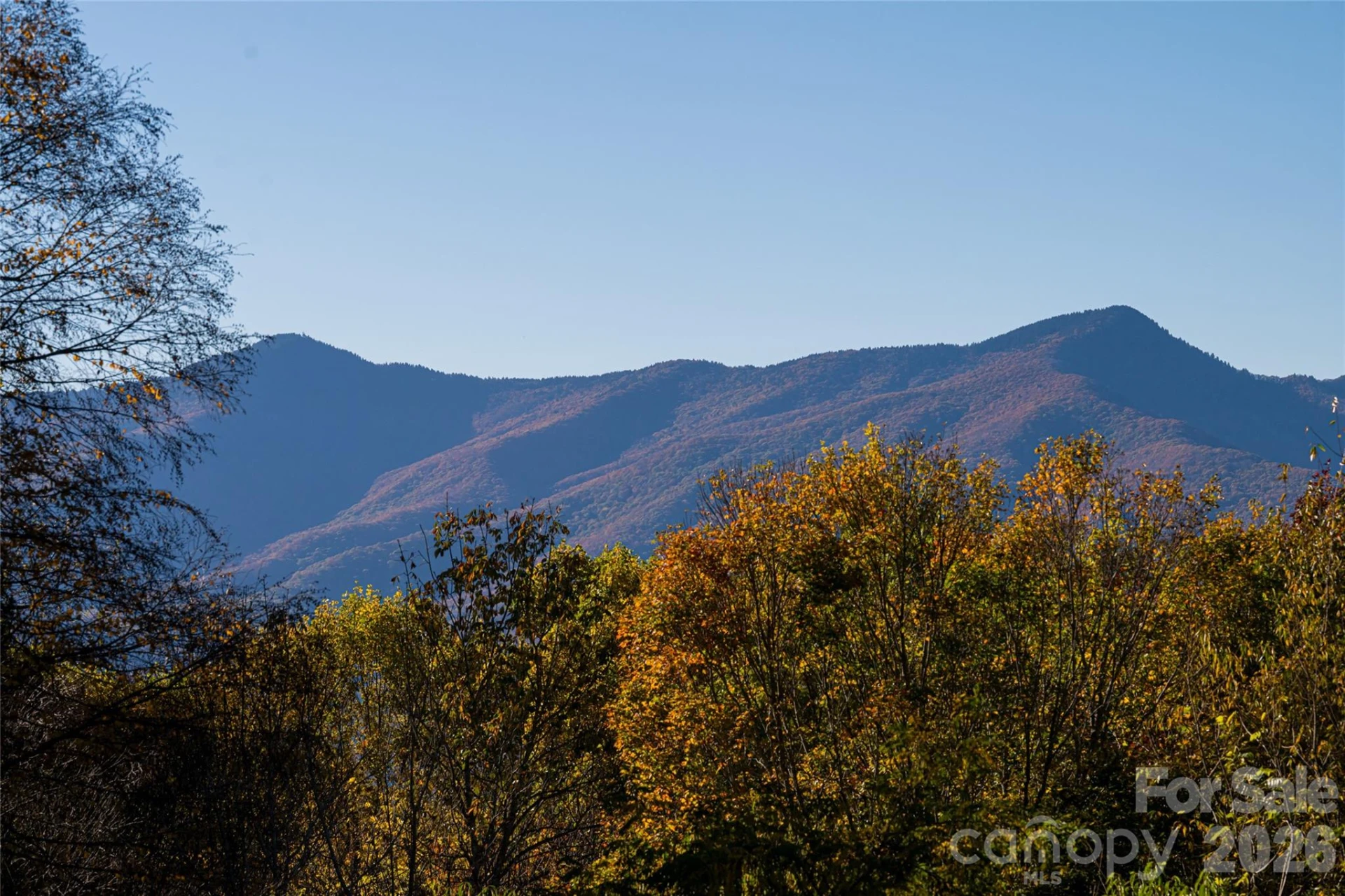 154 Presidential Drive - Photo 34