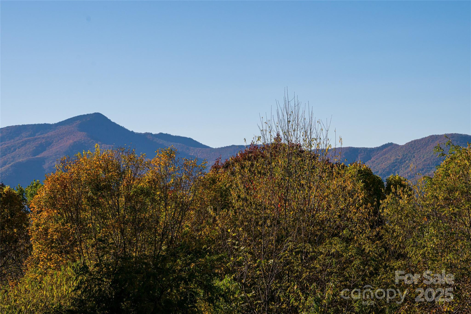 154 Presidential Drive - Photo 8